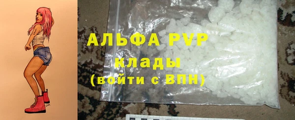PSILOCYBIN Бронницы