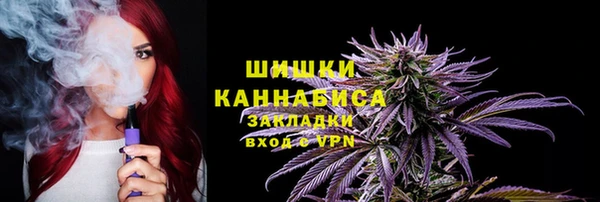 PSILOCYBIN Бронницы