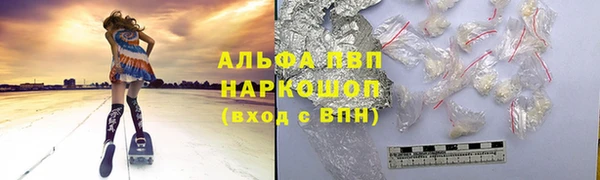 стаф Бородино