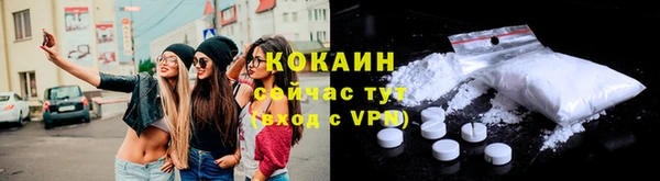 стаф Бородино