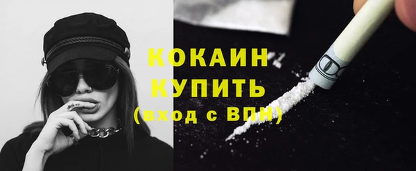 стаф Бородино