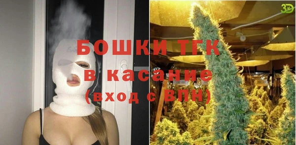 стаф Бородино