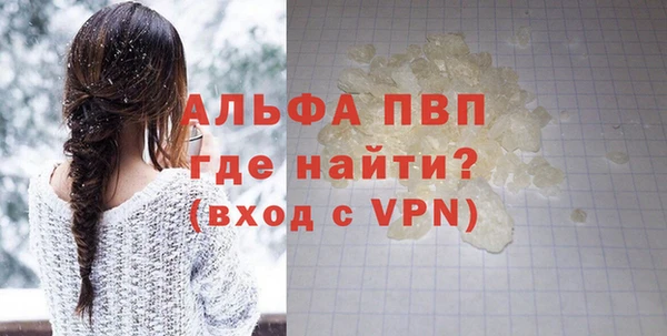 стаф Бородино