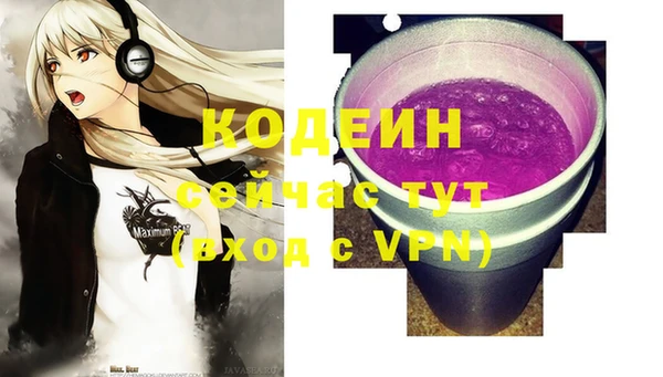 стаф Бородино