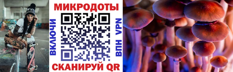 Галлюциногенные грибы Cubensis  Батайск 
